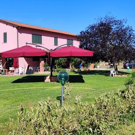 Agriturismo Calendiluna Luni 외부 사진