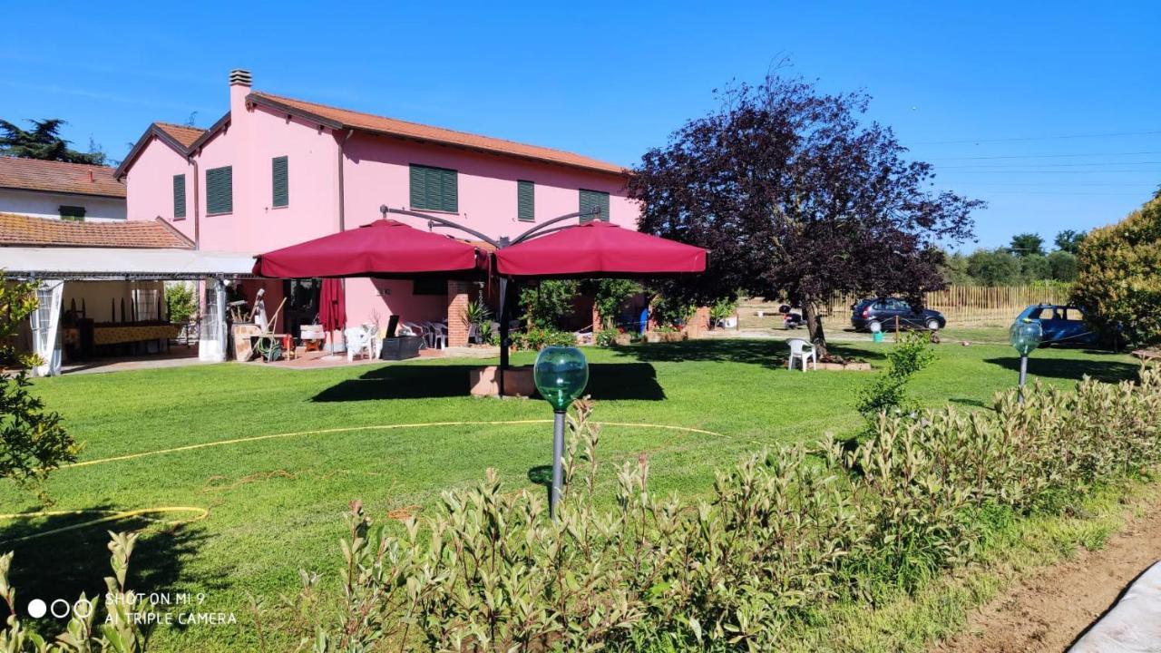 Agriturismo Calendiluna Luni 외부 사진