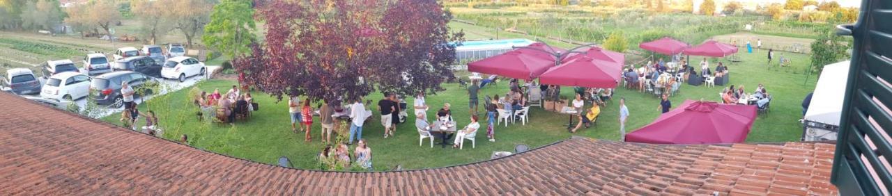 Agriturismo Calendiluna Luni 외부 사진
